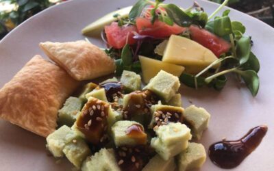 Tofu di piselli