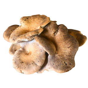 Funghi Mix