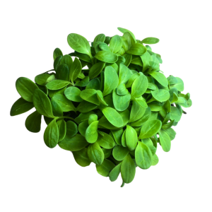 Micro Ortaggi Mix